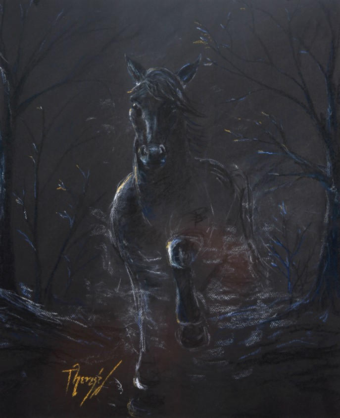 http://fc08.deviantart.net/fs11/i/2006/214/8/1/black_ghost_horse_by_Chebanse.jpg
