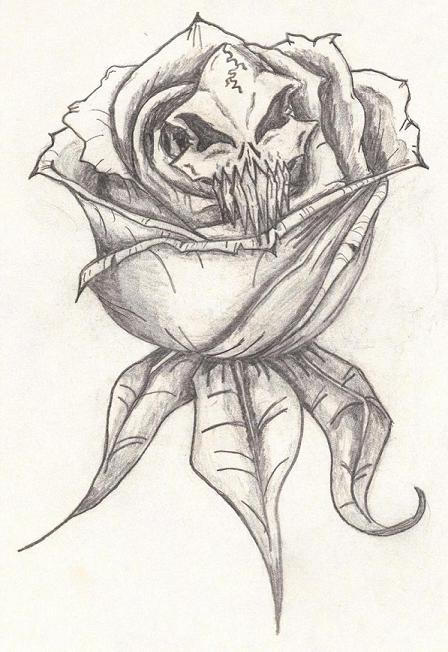Skull Rose by TheBIGJug on deviantART