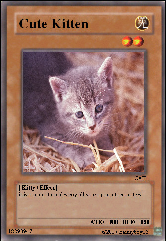 Cute_Kitten_yugioh_card_by_Bennyboy26.jpg