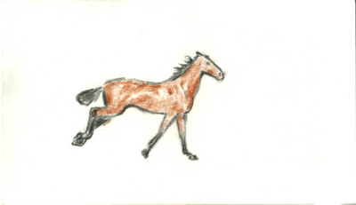 horse_animation__gallop_by_akuinnen24.gif