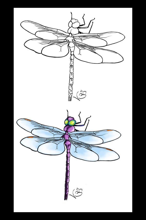 Liquid Dragonfly - dragonfly tattoo