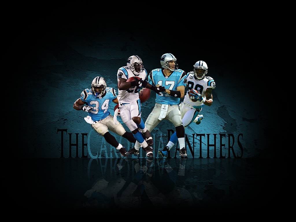 The Carolina Panthers by Metalhdmh