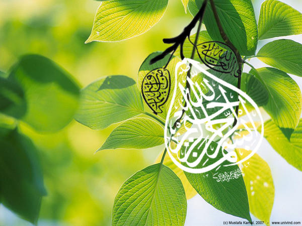 wallpaper kaligrafi islam. Buah Kaligrafi by ~51face on
