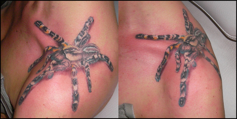 Spider Tattoo Poecilotheria