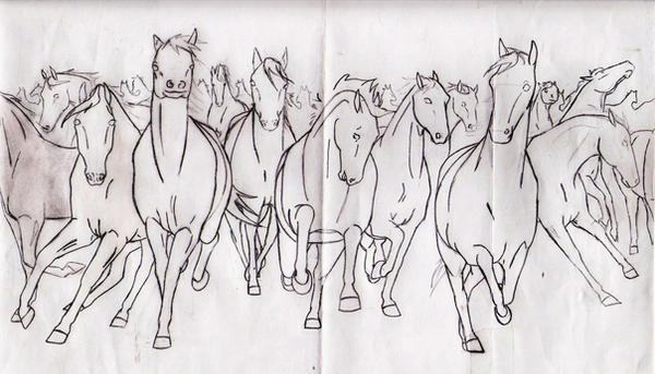 a herd horse coloring pages - photo #13