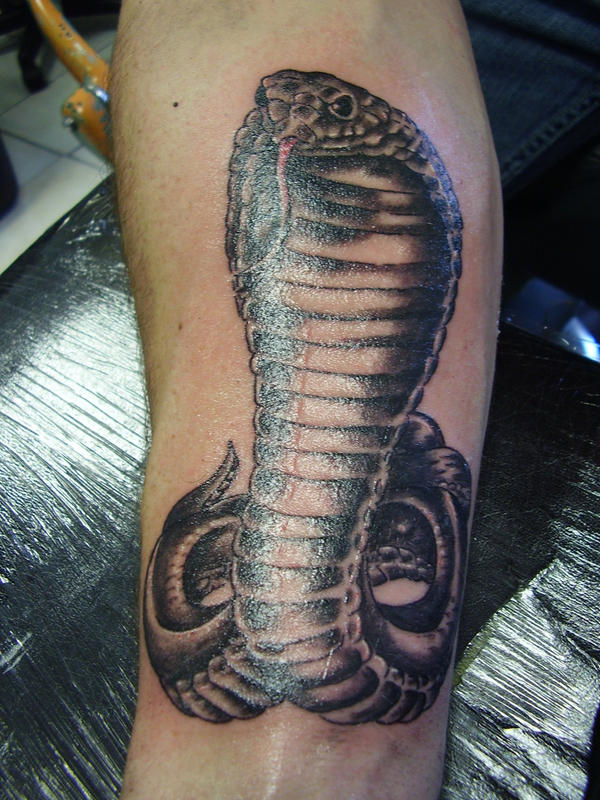snake tattoos Cobra