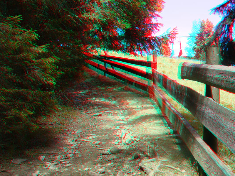 The Pathway 3D Anaglyph by yellowishhaze on deviantART