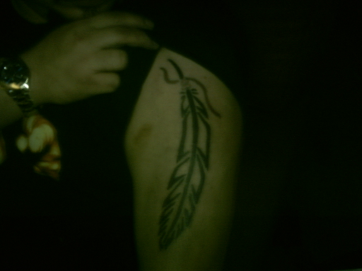 feather tattoo. feather tattoo by