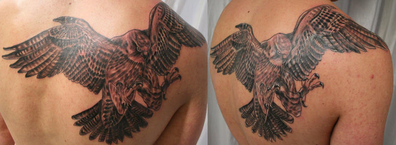 bird tattoos Falcon Tattoo