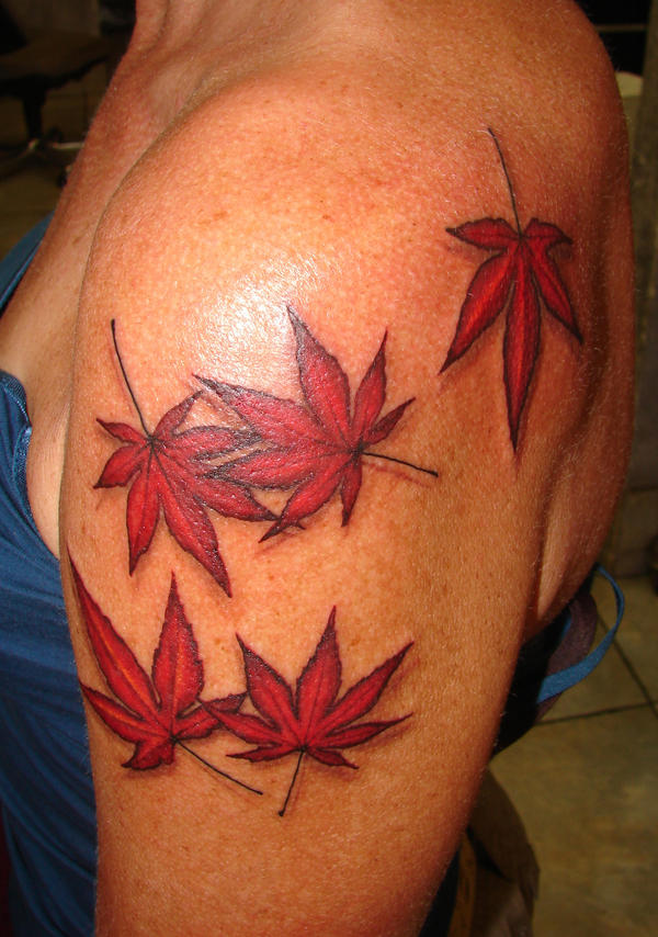 japanese maple leaves. japanese maple leaves 1 by