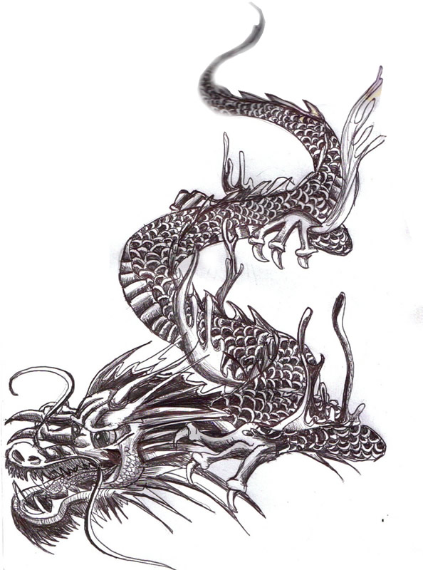 Japanese dragon by HardyinWonderland on deviantART