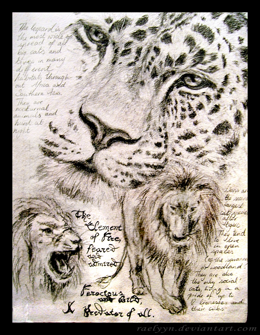 http://fc08.deviantart.net/fs39/f/2008/351/f/b/__Of_Leopards_and_Lions___by_Raelyyn.jpg
