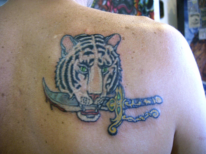 white tiger tattoo. white tiger tattoo. tiger tattoos. White Tiger; tiger tattoos. White Tiger