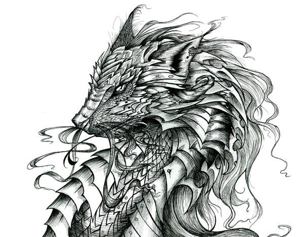 Celtic Dragon by PhantomSeptember on deviantART