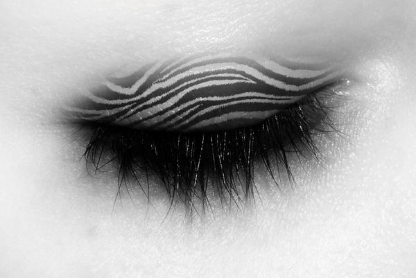 zebra print eye make up by ~lady-seera-oni on deviantART