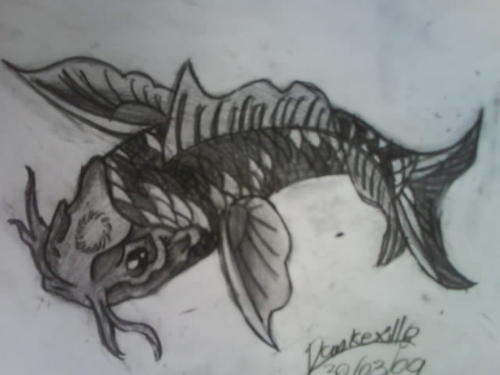 koi fish drawing. Black Koi Fish by ~pankexillo