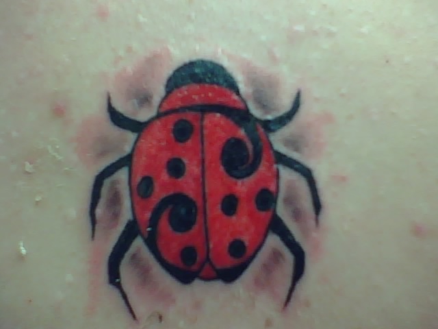 Insect Tattoo