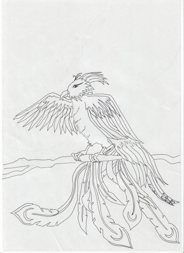 phoenix drawing by trixxbby