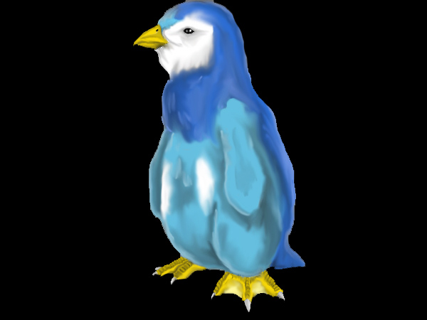 Realistic_Piplup_Colored_by_drgknot.jpg