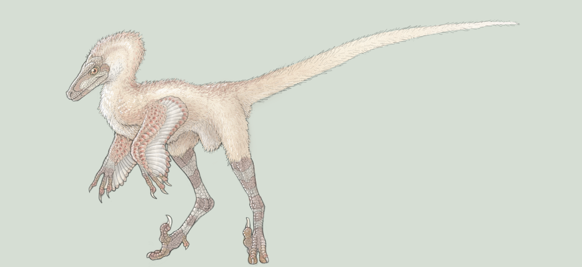 Velociraptor by ADigitalArtist