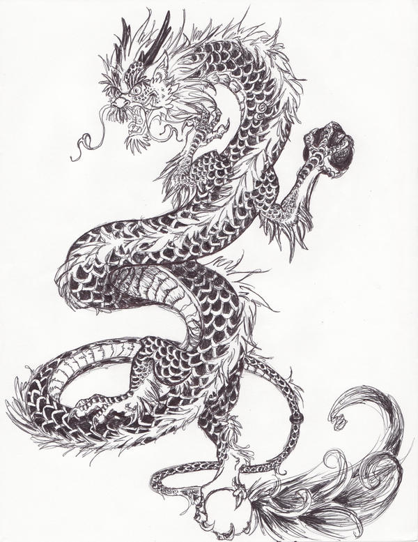 Chinese dragon detailed by JolaangAvatarlover on deviantART