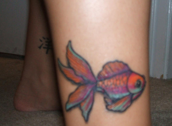 Fish Tattoo, healed