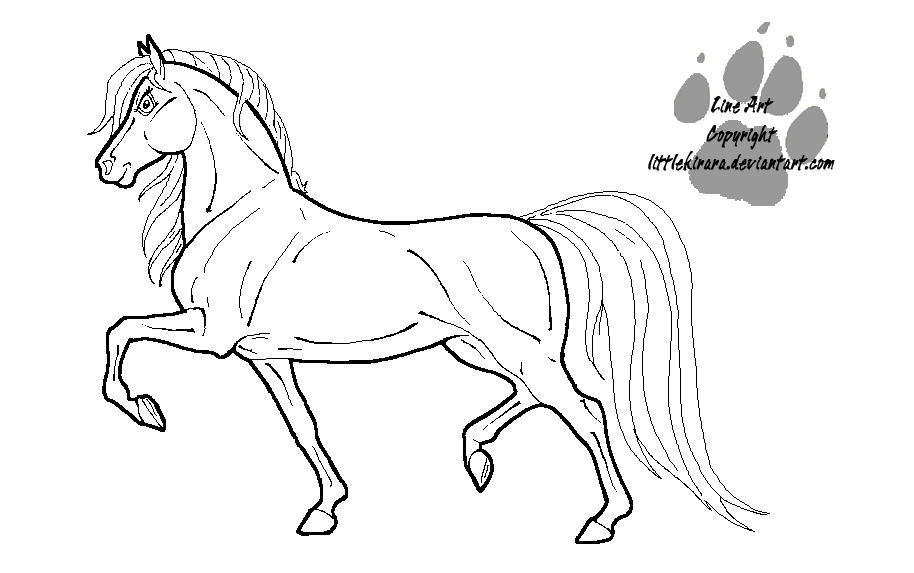 saddlebred horse coloring pages - photo #7