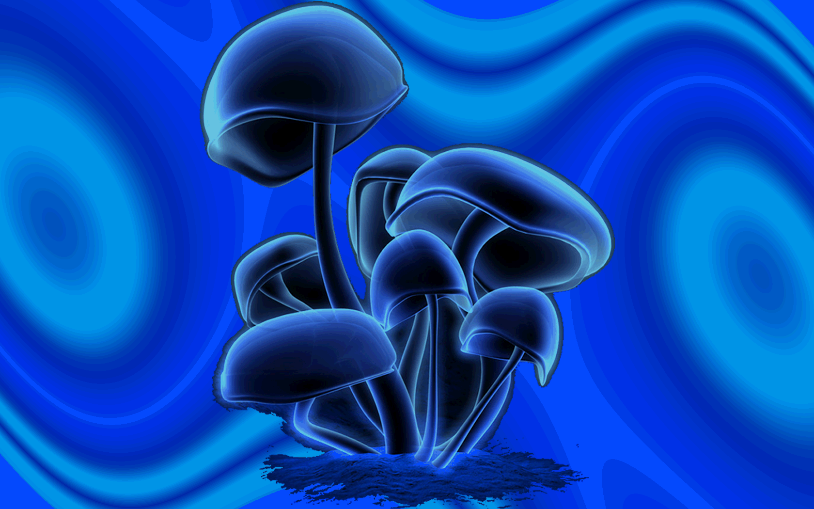 Mushrooms Gif Search GifClip