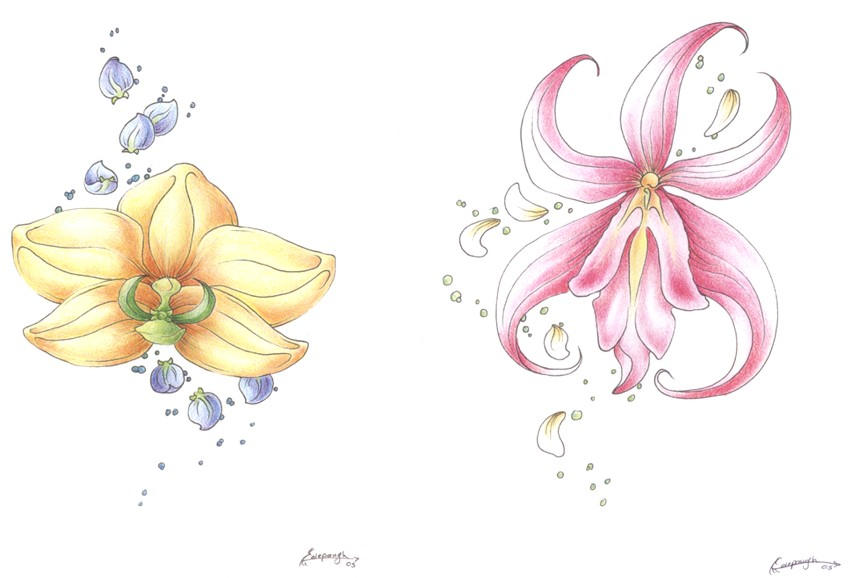 Orchid Tattoos by ~SinisterVibe on deviantART