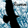 Raven Avatar