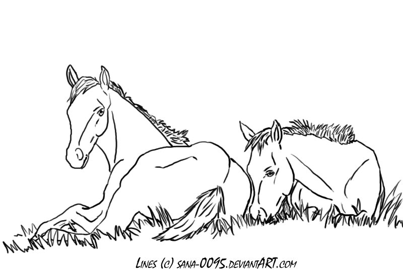 saddlebred horse coloring pages - photo #13