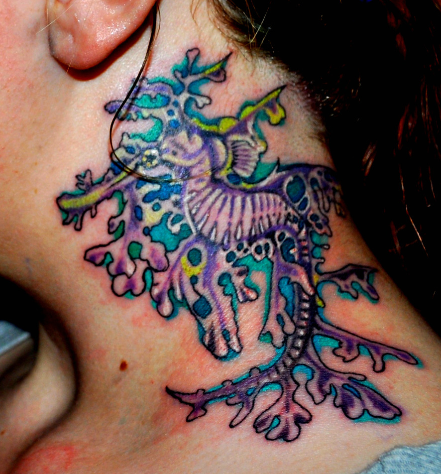 http://fc08.deviantart.net/fs70/f/2010/070/3/c/Leafy_Sea_Dragon_Tattoo_by_BlackDarkness.jpg