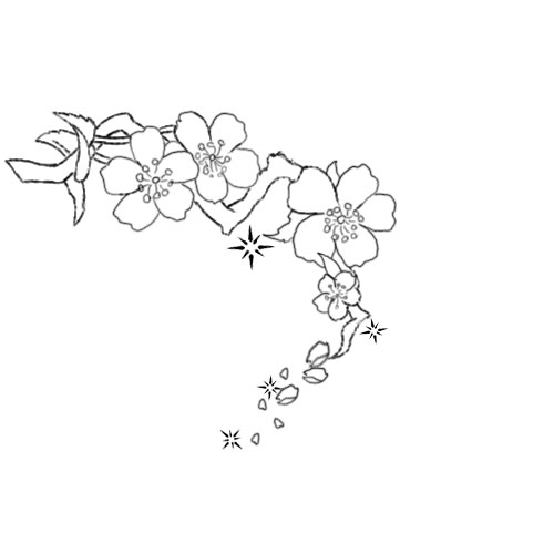 Cherry Blossom Tattoo outline by *xXxDANIxXxEVILxXx on deviantART