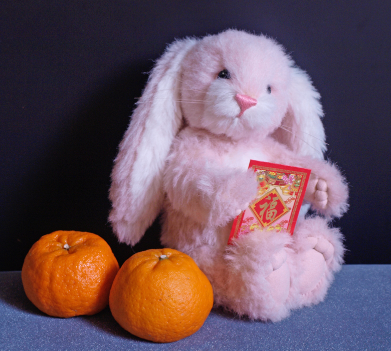 happy_bunny_new_year_by_dreamstone-d38p7nt.jpg
