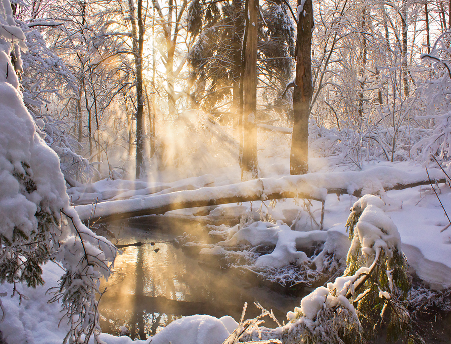 breath_of_winter_by_deingel-d39d8jb.jpg