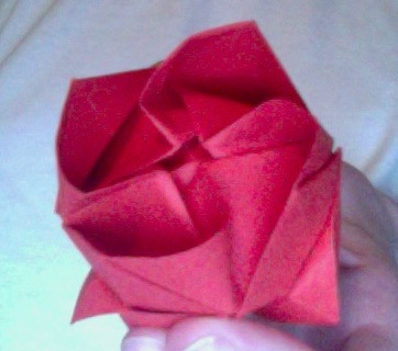 Danbo Cutout on Origami Rose By  Bridgetb On Deviantart