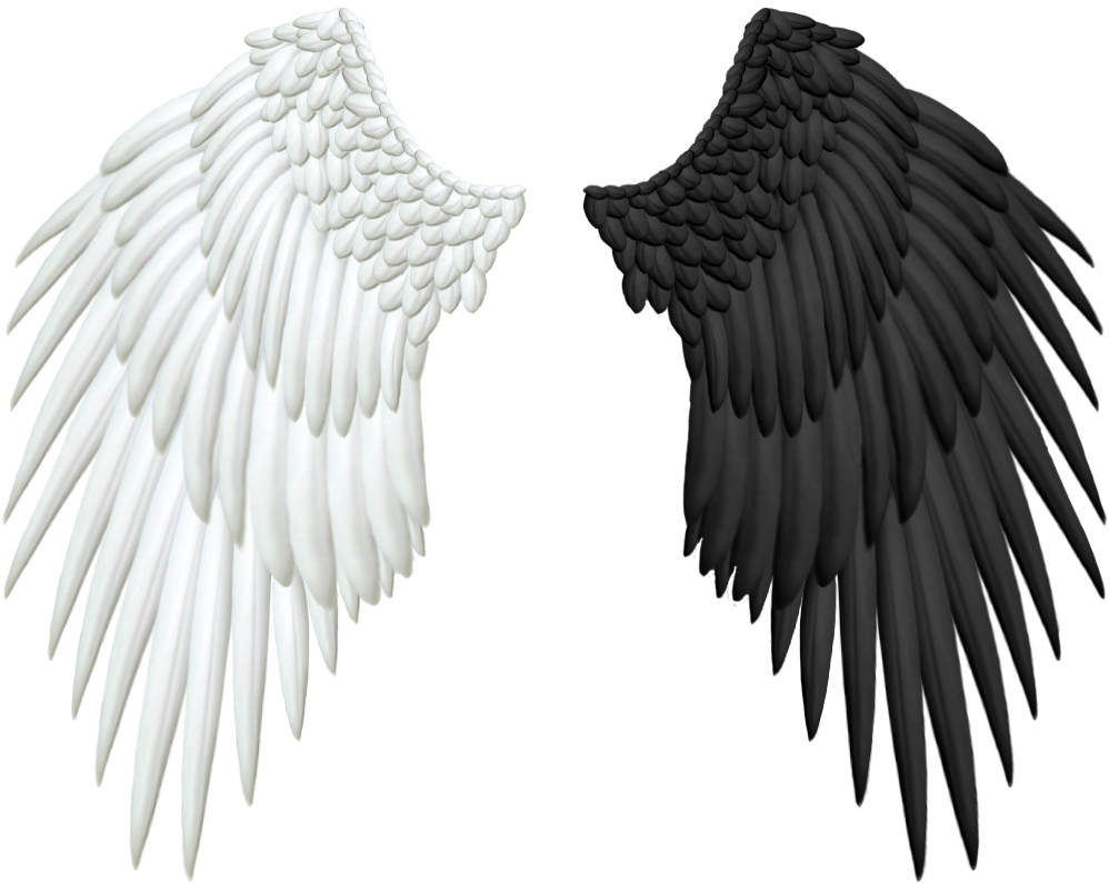 good_and_evil_angel_wings_png_by_thy_dar