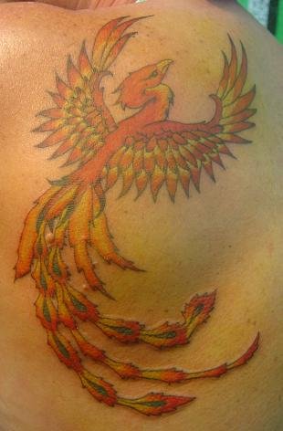 phoenix tattoo by shedeviltj