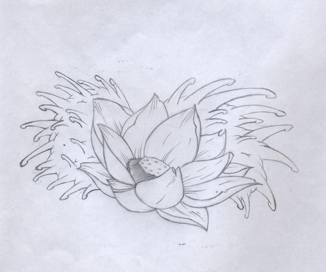 Lotus Flower Tattoo Drawing