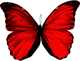 MARIPOSA ROJA PNG_RED BUTTERFLY