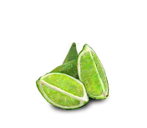 http://fc08.deviantart.net/fs70/f/2012/195/2/a/lime_half_in_four_wedges_by_emptypulchritude-d578vkg.png
