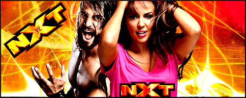http://fc08.deviantart.net/fs70/f/2012/350/b/7/seth_rollins_and_layla_by_showoffabarts-d5o8gbi.png