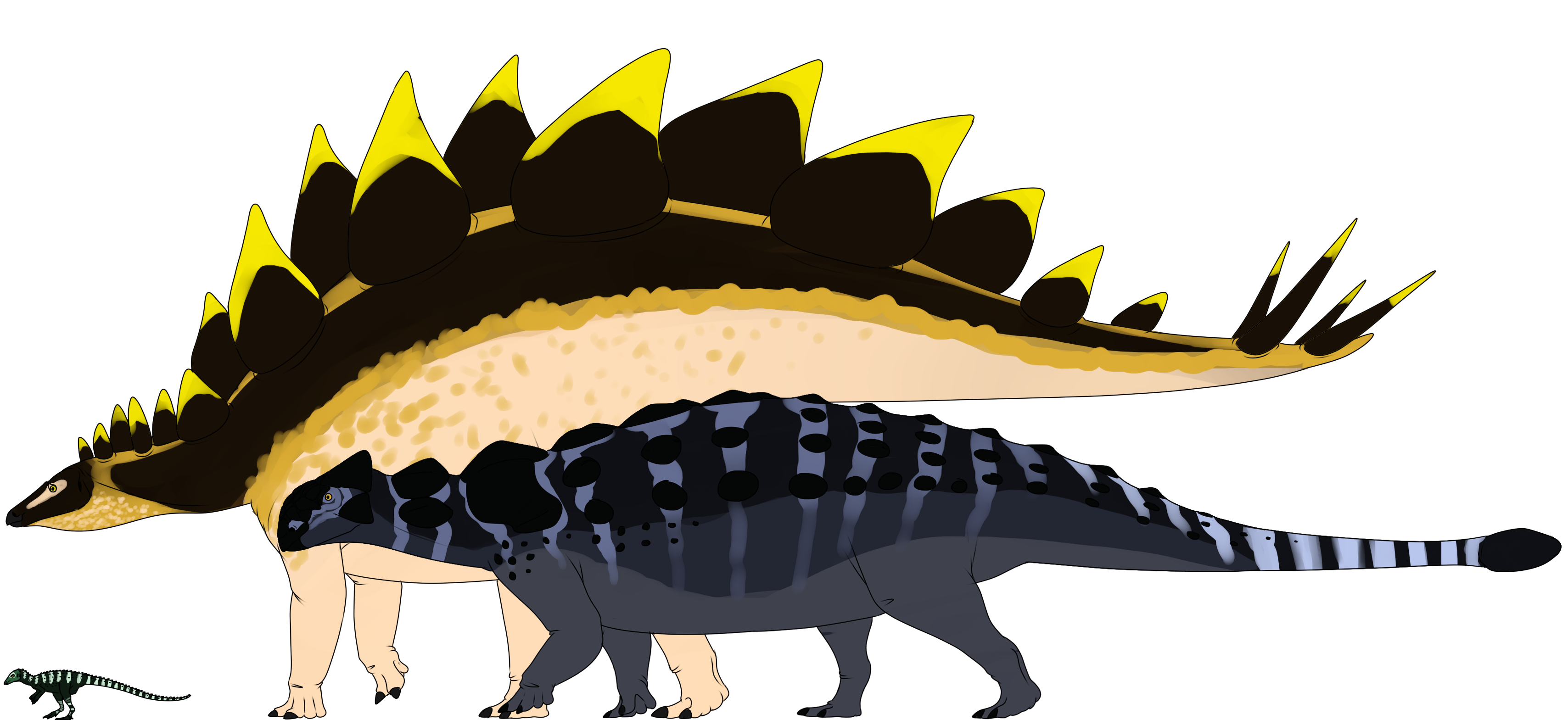 scutellosaurus__stegosaurus__ankylosaurus_by_stygimolochspinifer-d5una4i.png