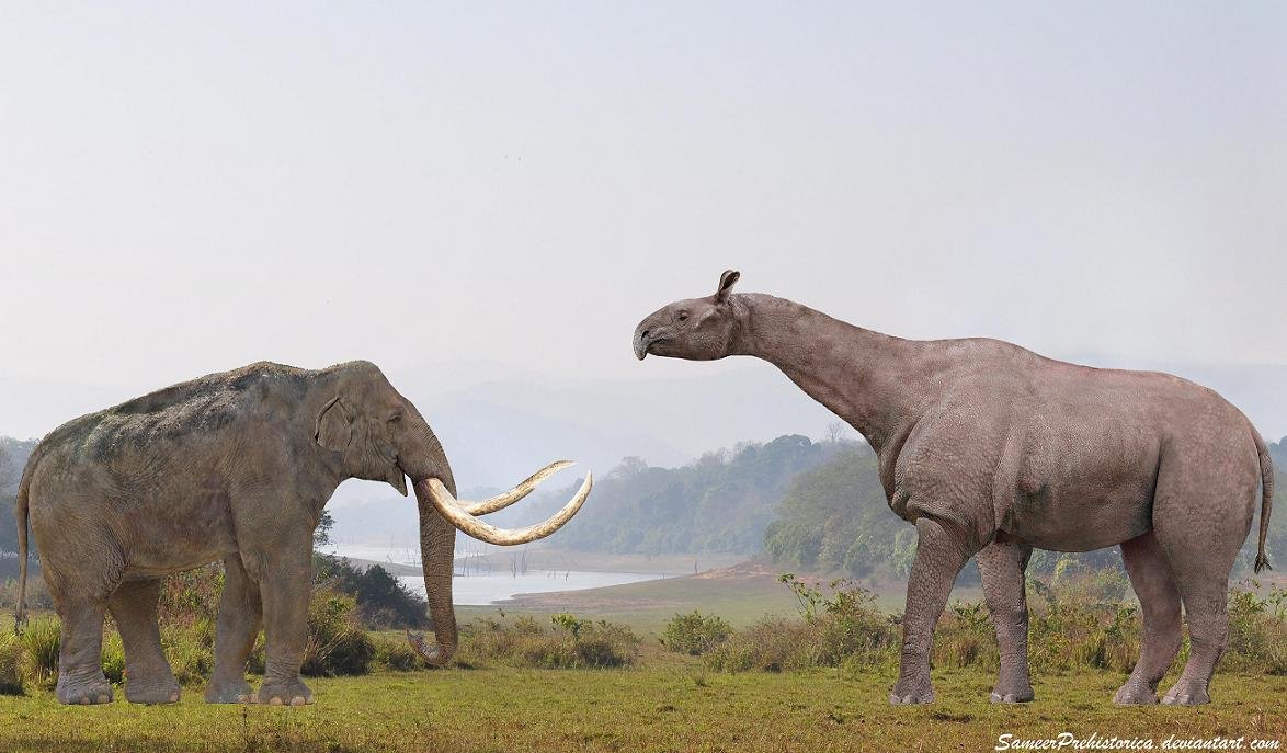 http://fc08.deviantart.net/fs70/f/2013/049/4/8/paraceratherium_vs_steppe_mammoth_by_sameerprehistorica-d5p0b0h.jpg