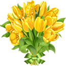 yellow_tulips_by_kmy