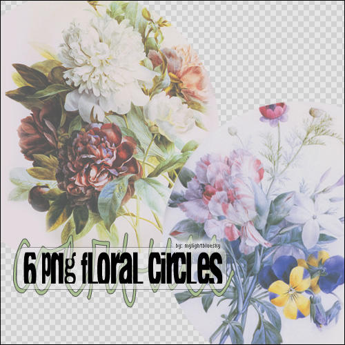 6 Png Floral Circles by mylightbluesky