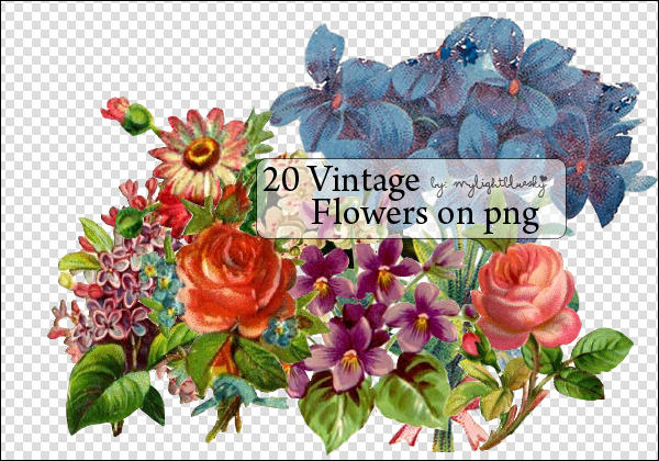 Vintage Flowers on Png. by mylightbluesky