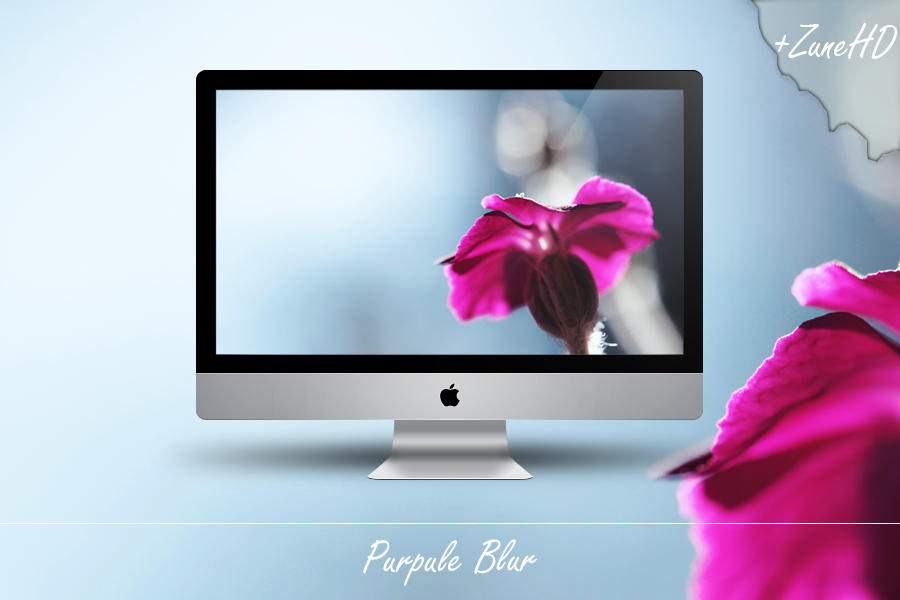Awesome Purple flower photo wallpaper for PC and Mac