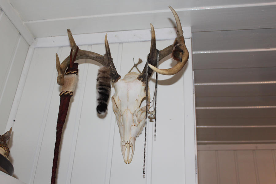 deer skull tattoos. Whitetail deer buck skull by