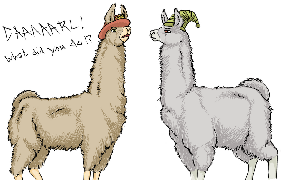 Llamas... With Hats by
